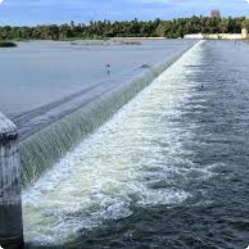 Home untitled design (9)